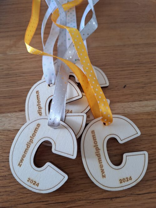 Zwemdiploma C