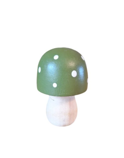 Paddenstoel groot groen